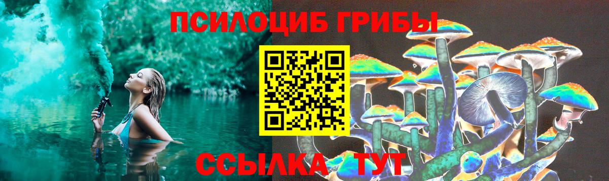 Галлюциногенные грибы Psilocybine cubensis  Вход с VPN  сколько стоит  Пятигорск 